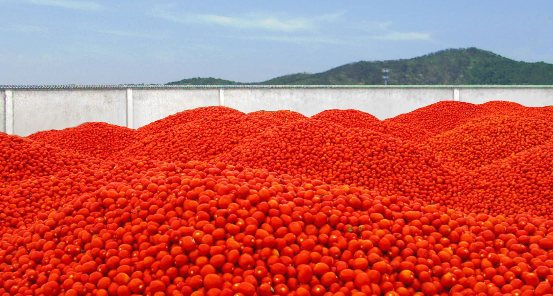 Ningbo Junyoufu Food Co. ، Ltd.